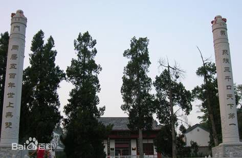 最优质熊莺(Ying Xiong)生活照