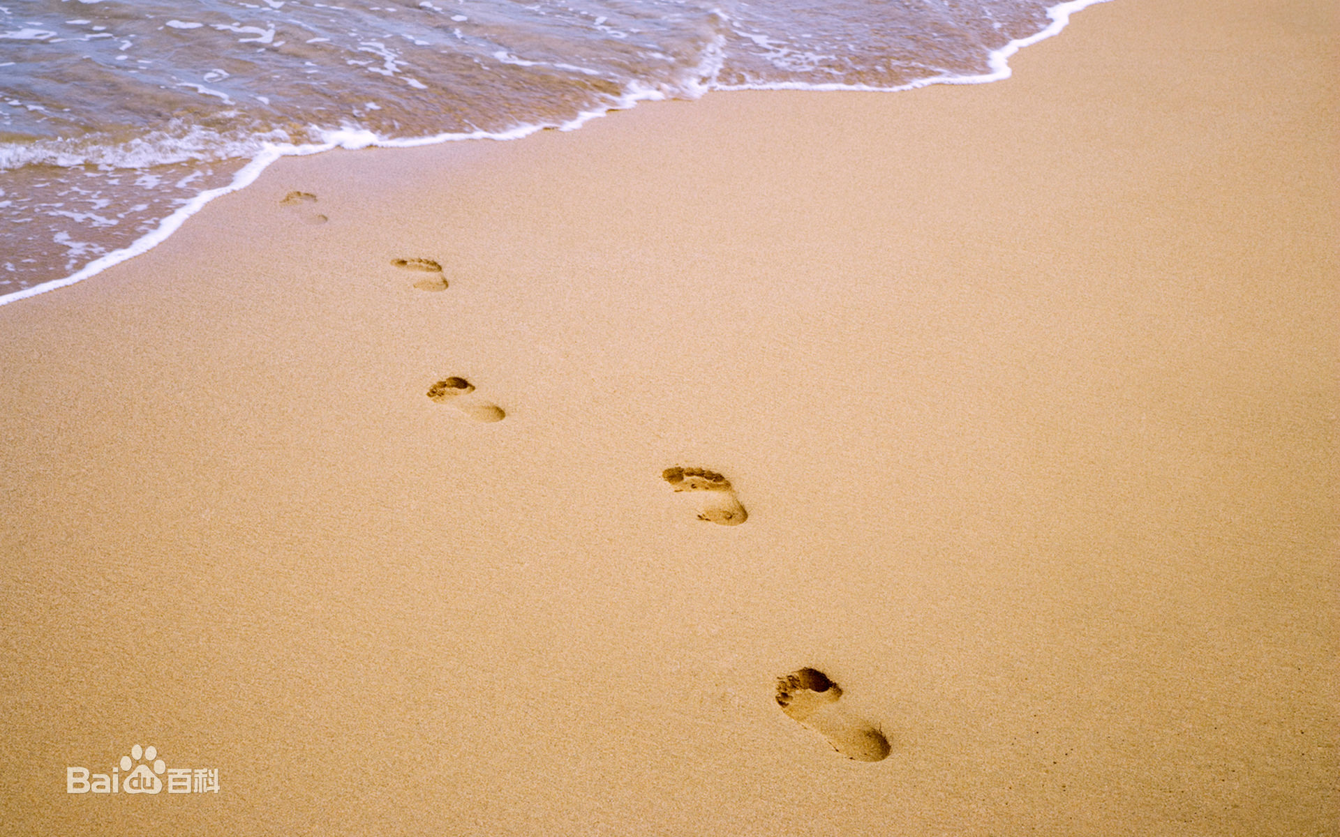 最全仲星火素颜照