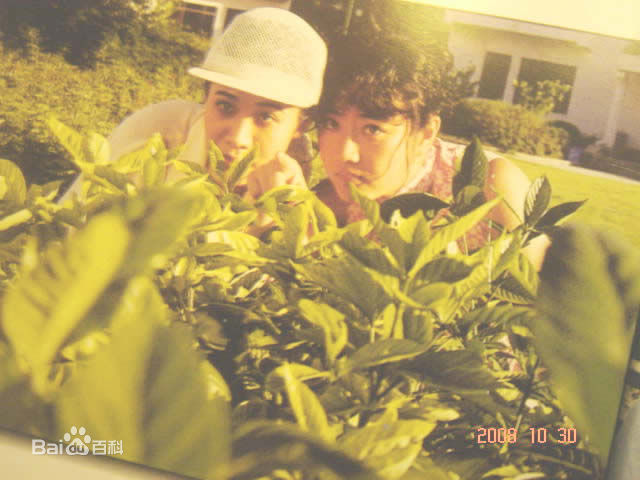 最全仲星火素颜照