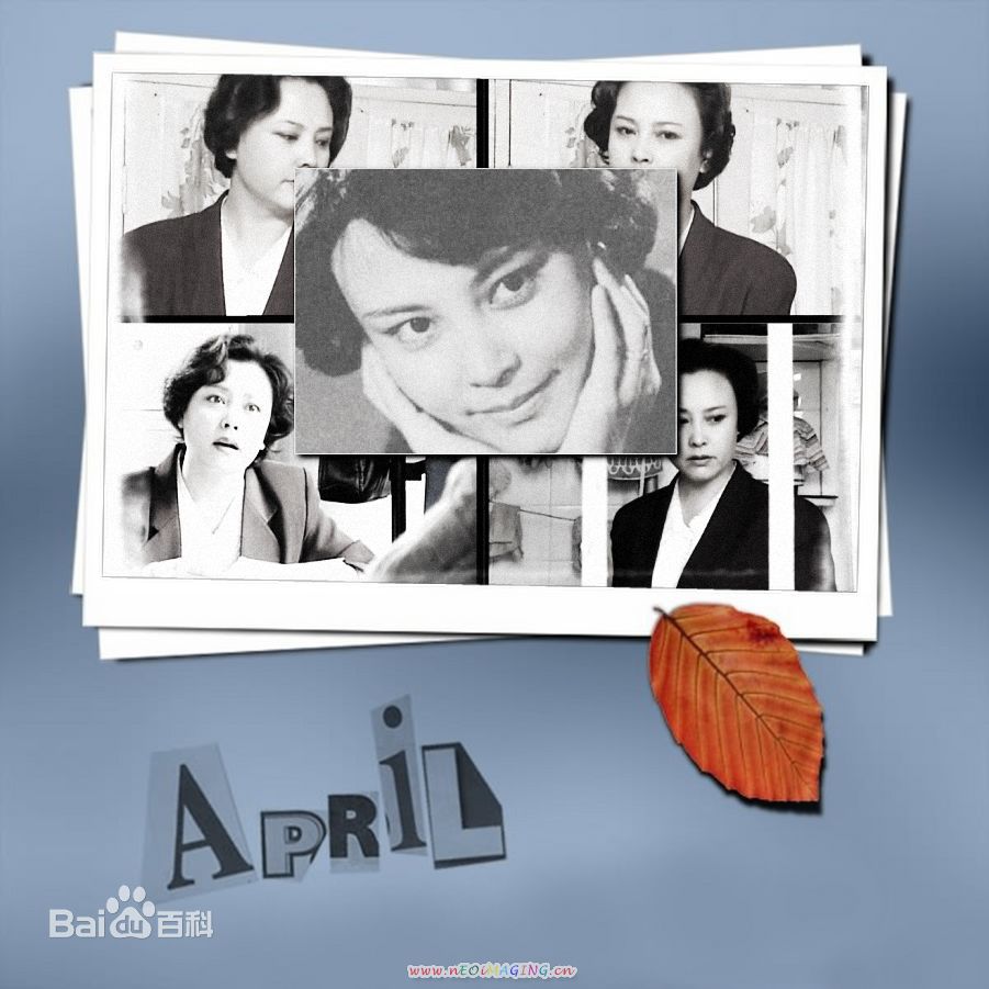 薛淑杰精选生活图册