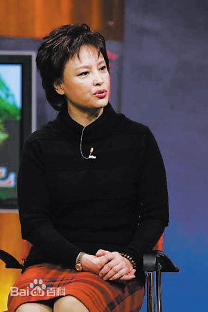 薛淑杰影视活动照壁纸壁纸