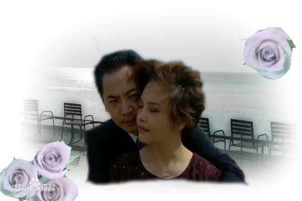 薛淑杰影视活动照壁纸壁纸