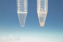 最优质薛淑杰生活照