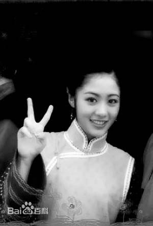 毕畅(BiChang)乡村爱情3壁纸壁纸