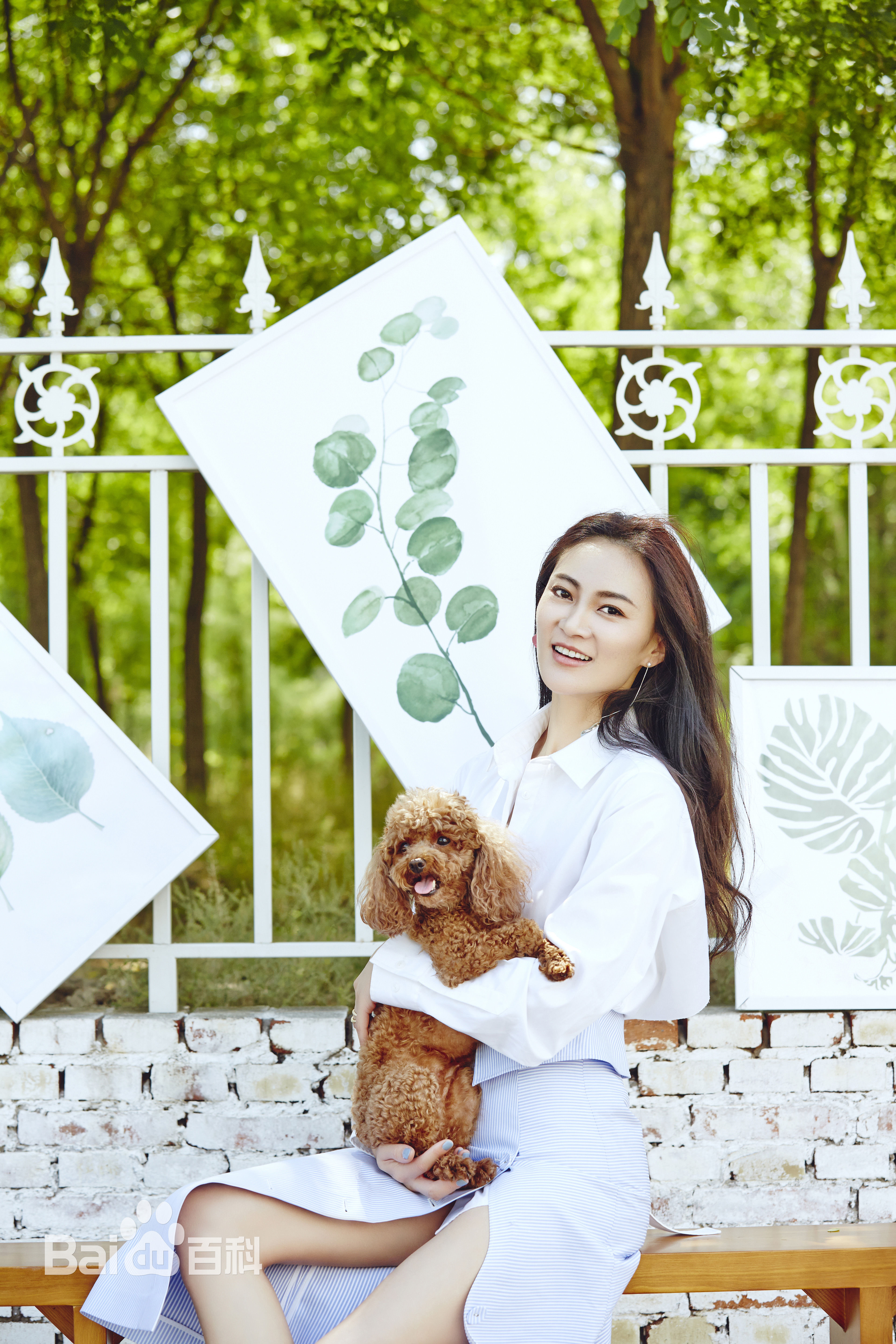 赵蕾(霖捷)最新2017图集