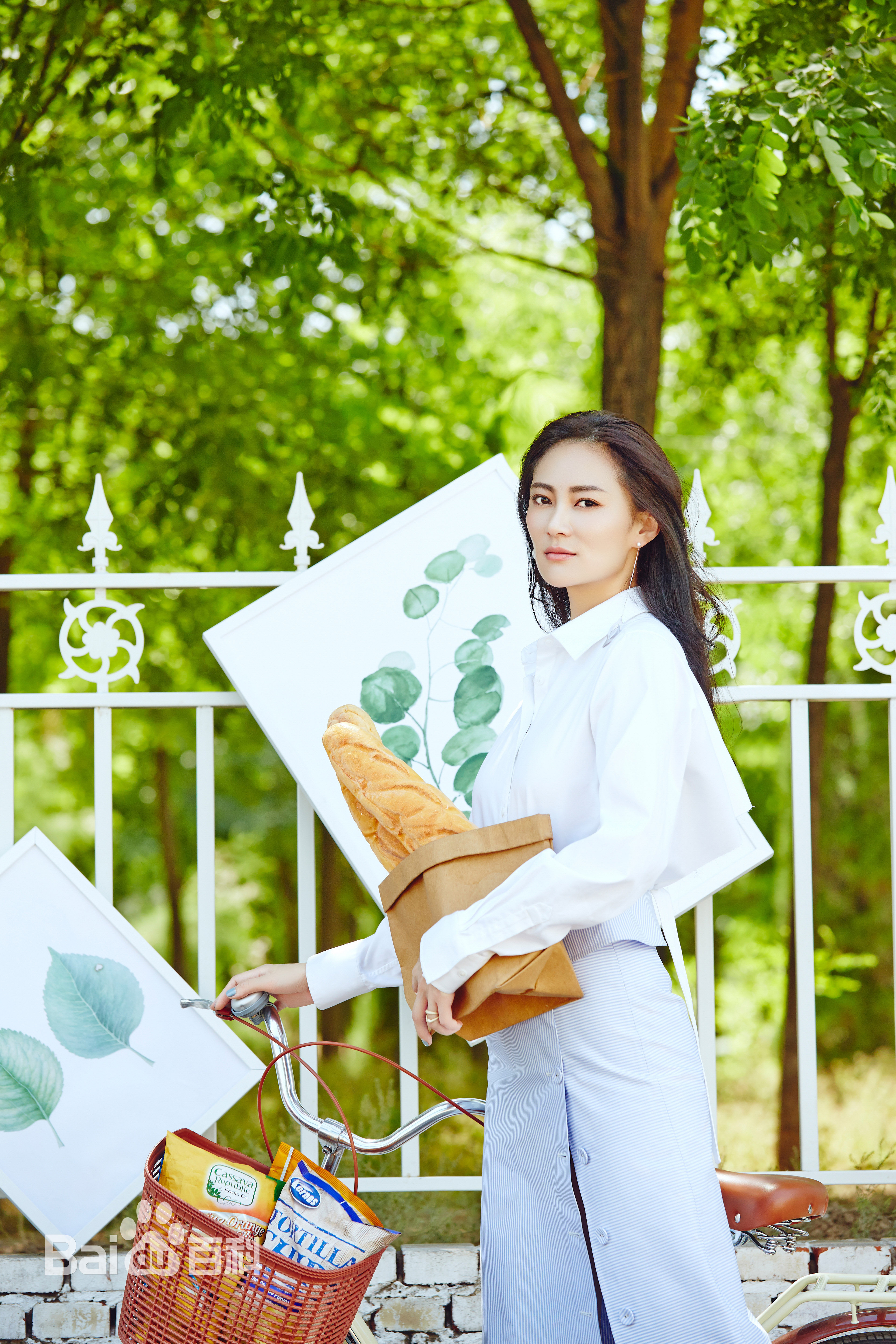 赵蕾(霖捷)最新2017图集