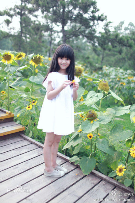 最新张籽沐(Annabel)壁纸