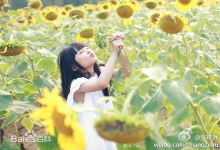 最新张籽沐(Annabel)壁纸