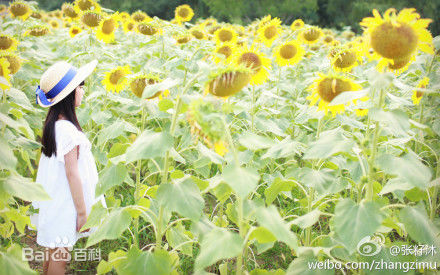 最新张籽沐(Annabel)壁纸