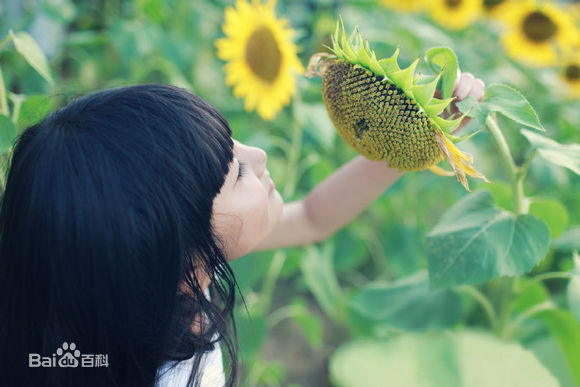 最新张籽沐(Annabel)壁纸