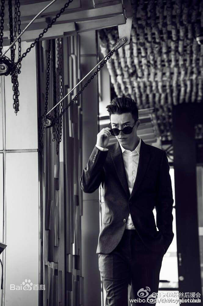 王冠逸(Lawrence Wong)最全-个人相册