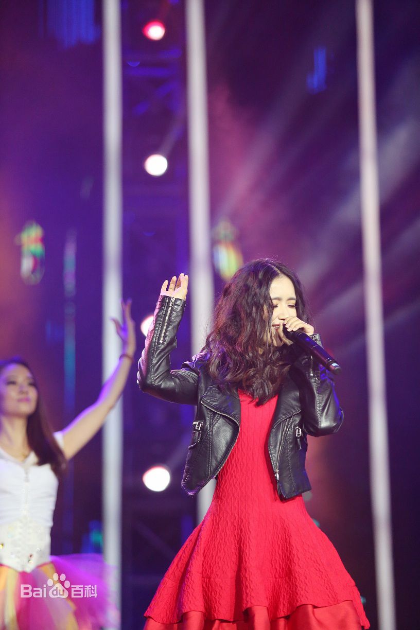 李春嫒(Li mingzhu)出席活动壁纸壁纸