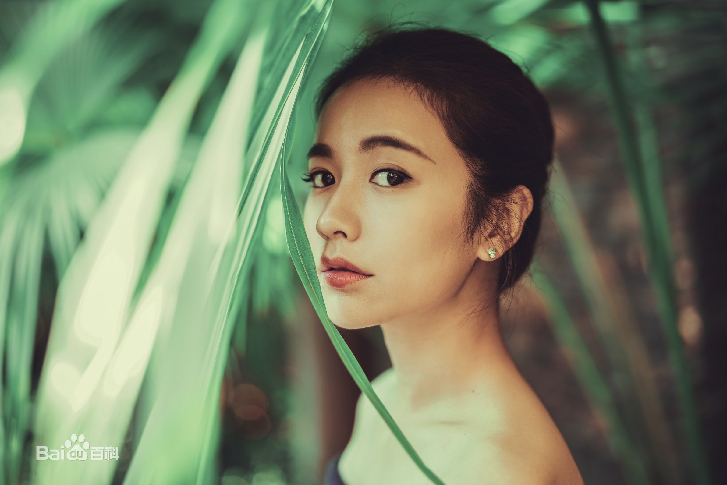 高清李春嫒(Li mingzhu)性感图片