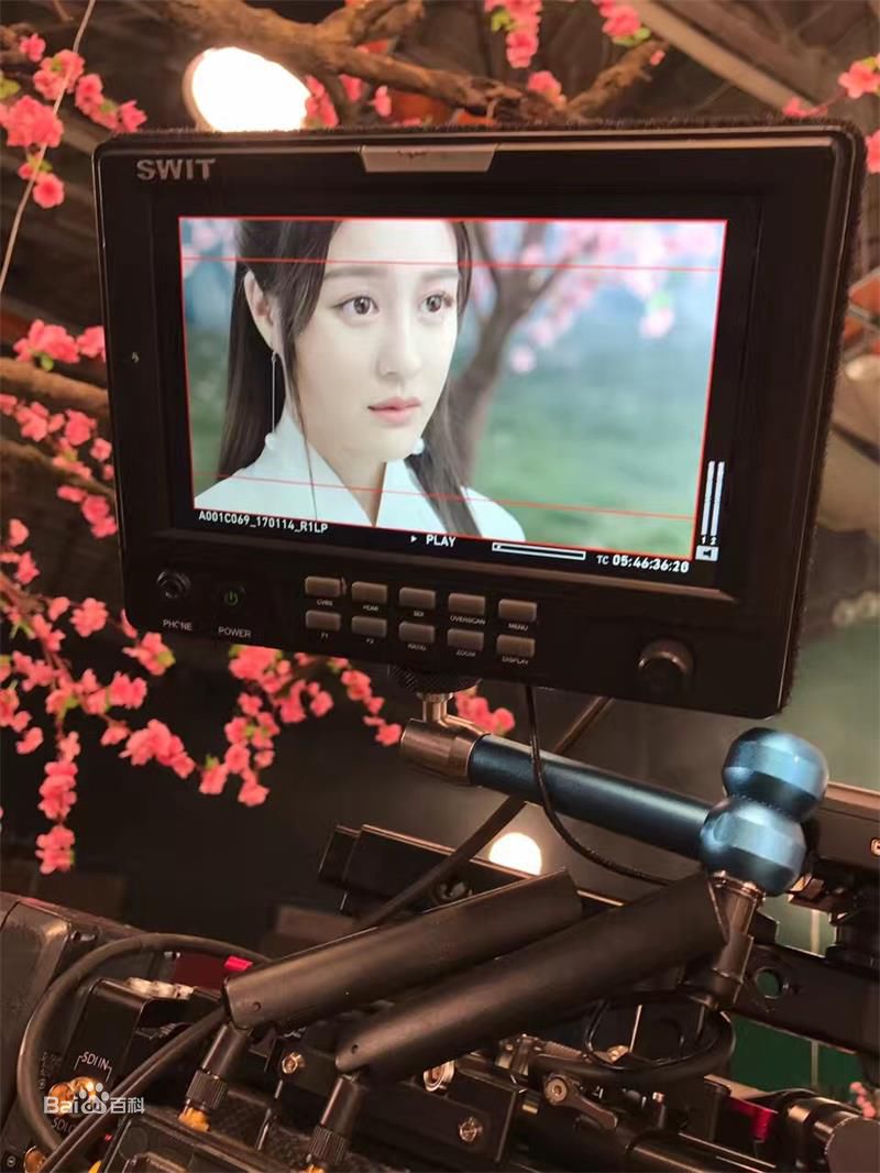 钟思华(Poppy)最全剧照