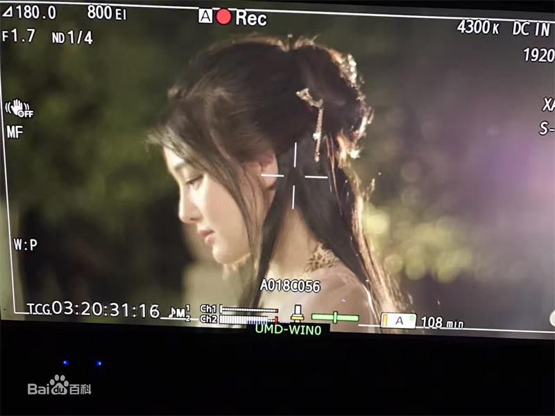 钟思华(Poppy)最全剧照