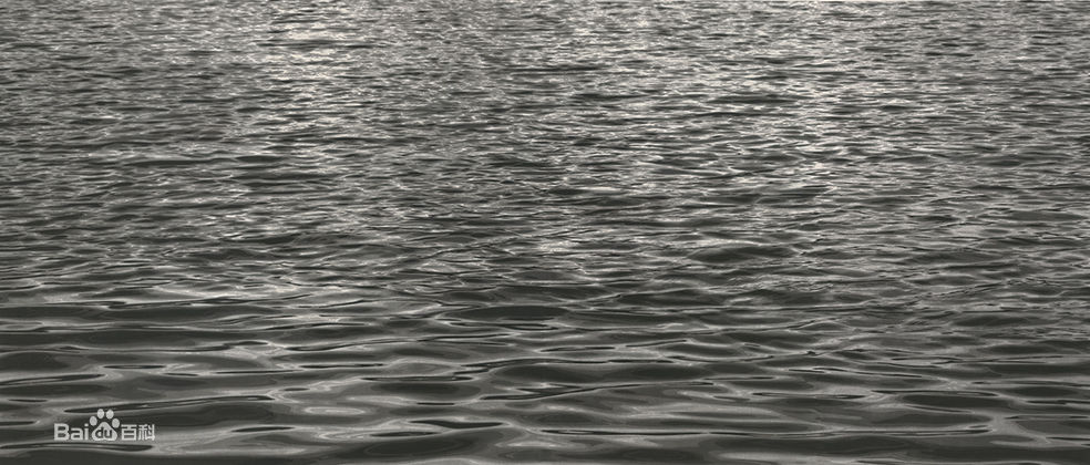 陈琦作品欣赏生活照相册