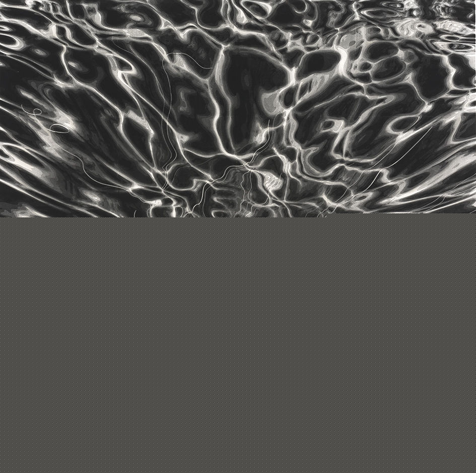 陈琦作品欣赏生活照相册