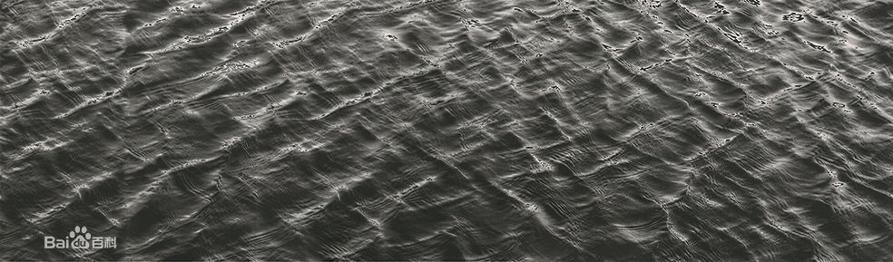 陈琦作品欣赏生活照相册