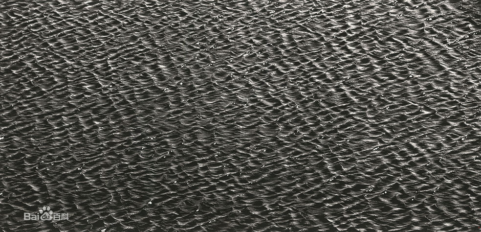 陈琦作品欣赏生活照相册