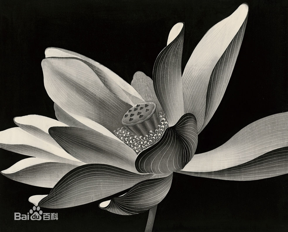 陈琦作品欣赏生活照相册