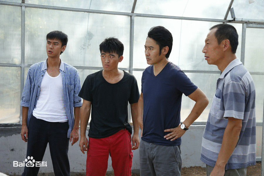 最新姜寒在《马向阳下乡记》中的壁纸