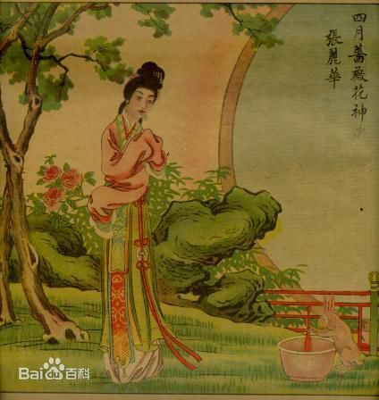 最优质张丽华生活照