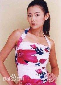 丁梦雨图册前后照片