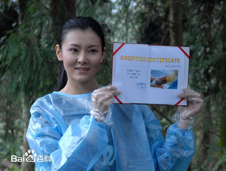 丁梦雨图册前后照片