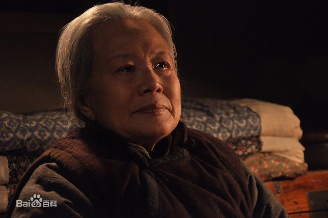 王丽媛(Wang Liyuan)相册图片图集