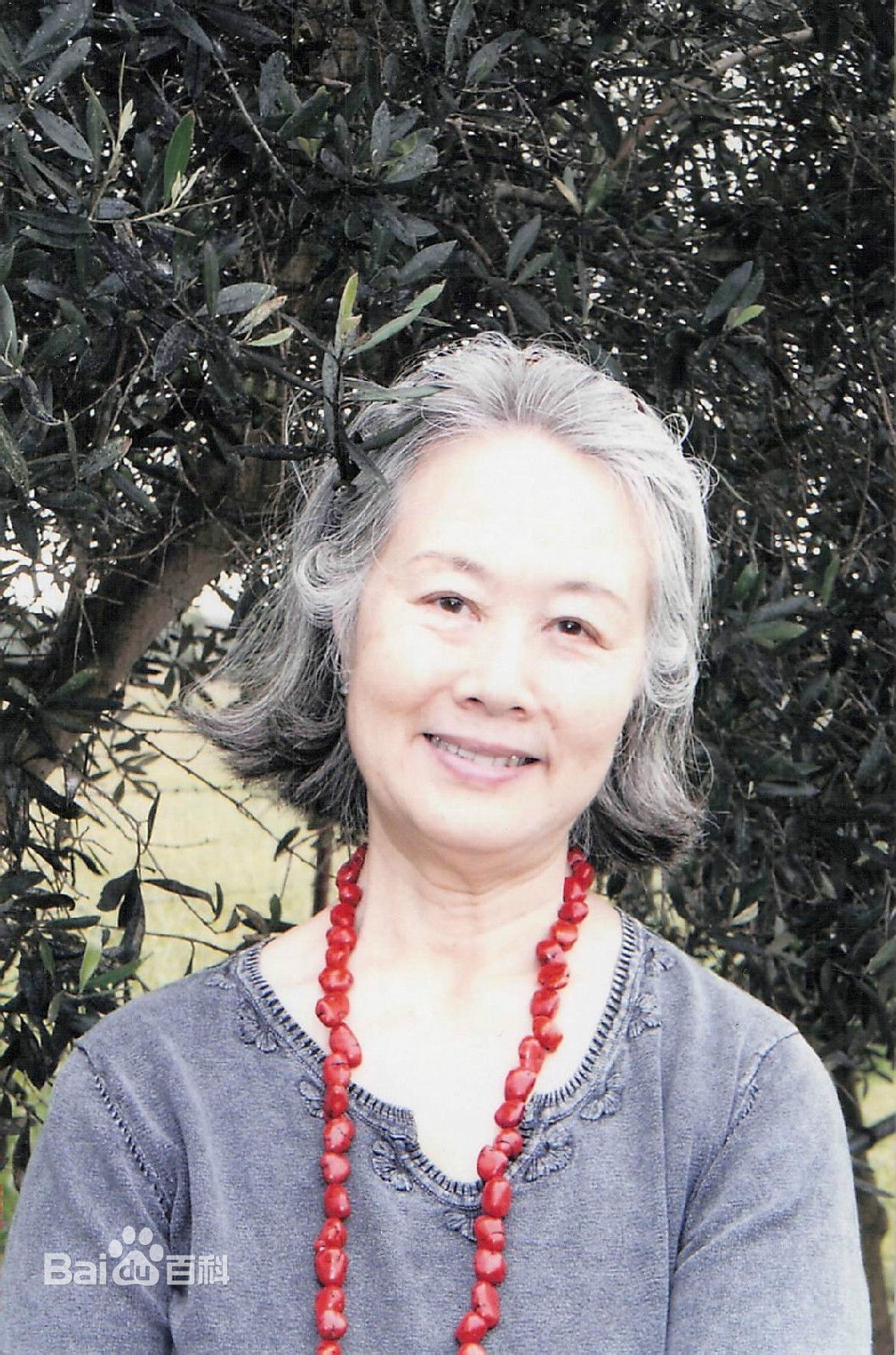 王丽媛(Wang Liyuan)相册图片图集