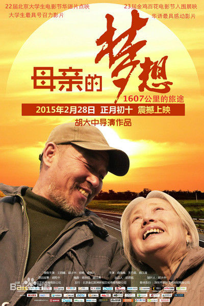 王丽媛(Wang Liyuan)相册图片图集