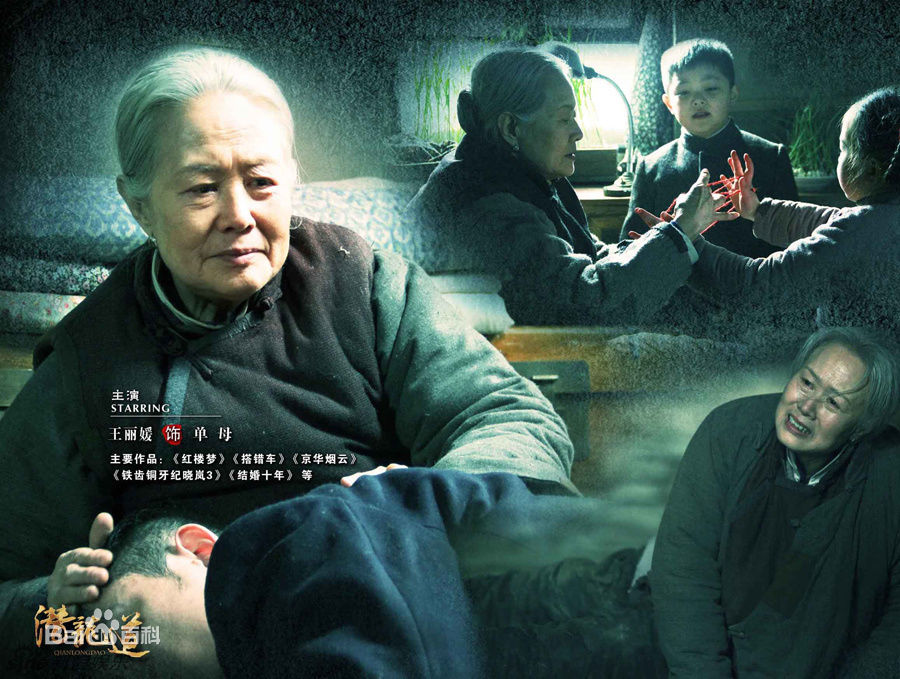 精选王丽媛(Wang Liyuan)精彩图册