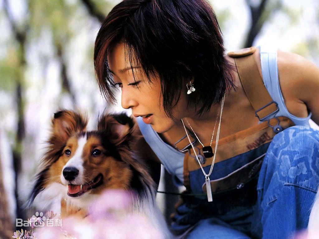 孙悦(Sun Yue)最全壁纸