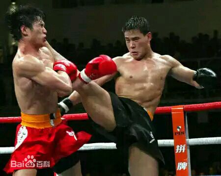 最新柳海龙壁纸