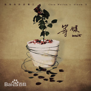 陈伟伦前后照片