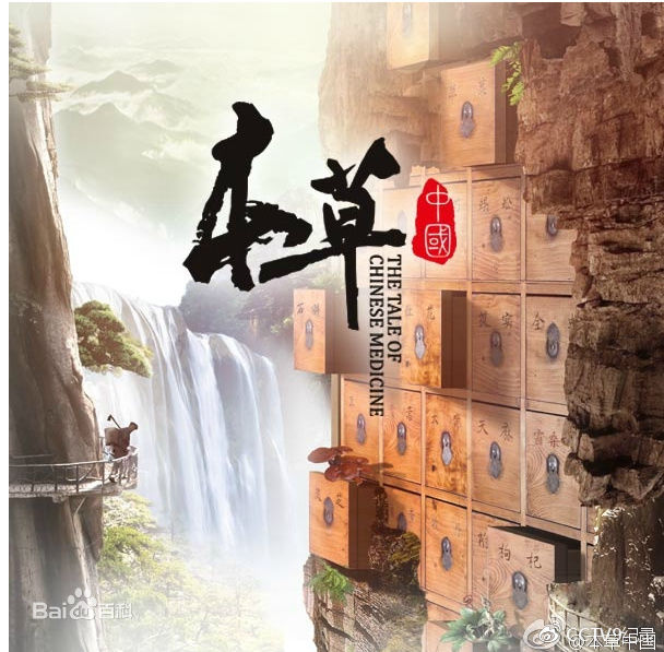 陈伟伦前后照片