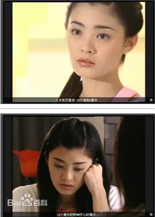 夏如芝电视剧作品集生活照