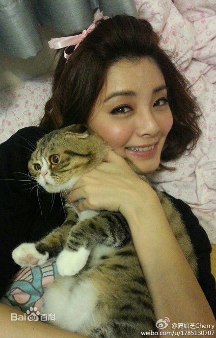 夏如芝生活照图册