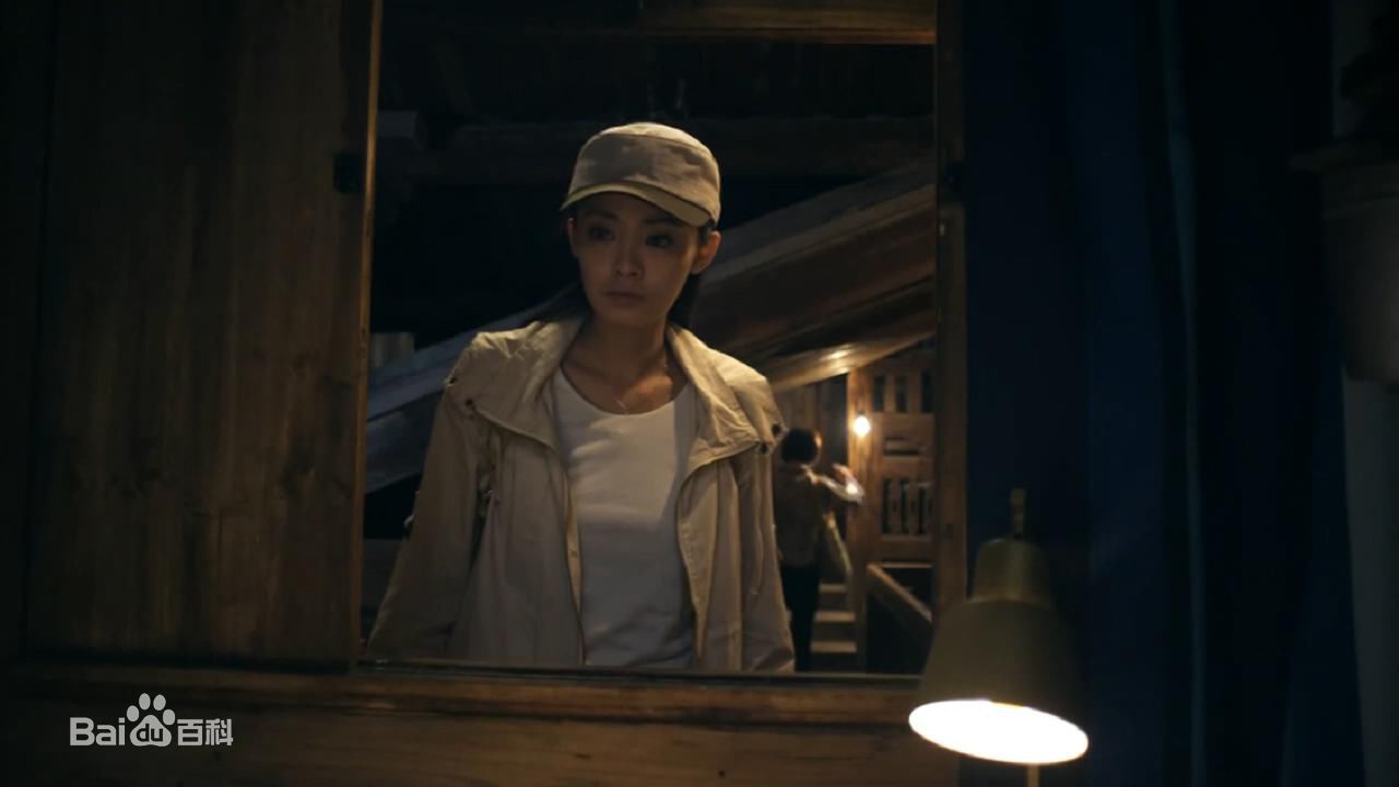 最优质夏如芝精彩图册