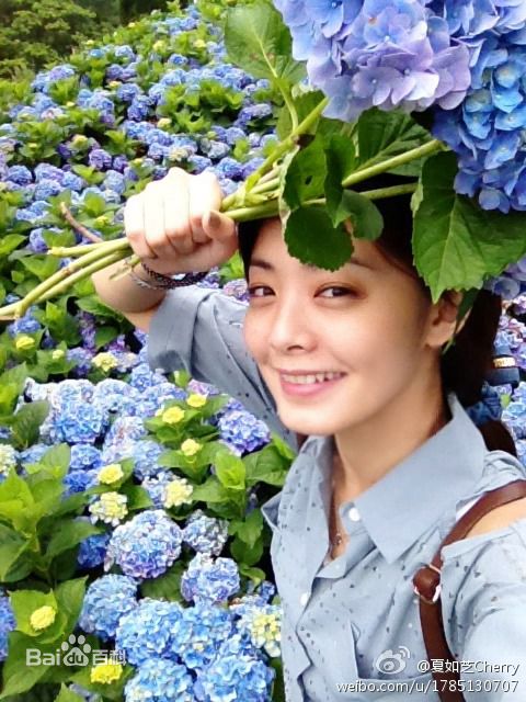 最优质夏如芝精彩图册