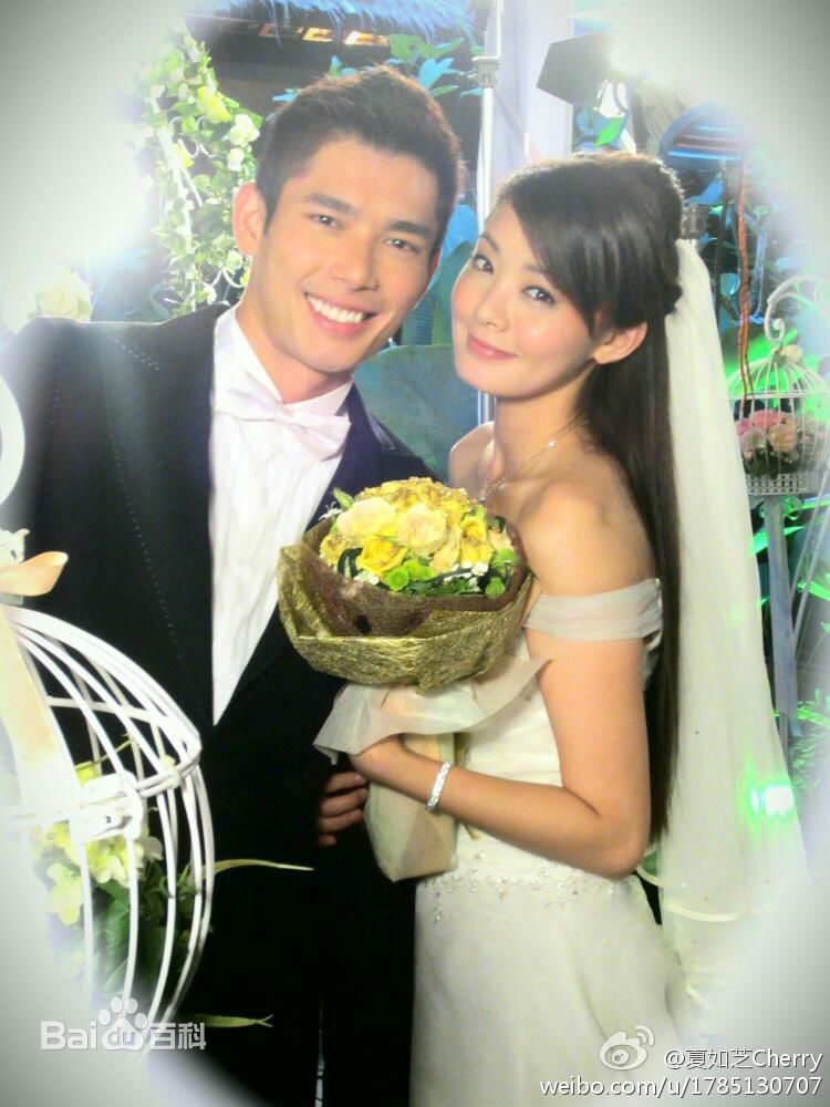 最优质夏如芝精彩图册