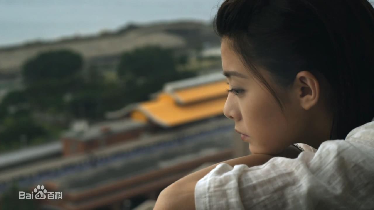 最优质夏如芝精彩图册