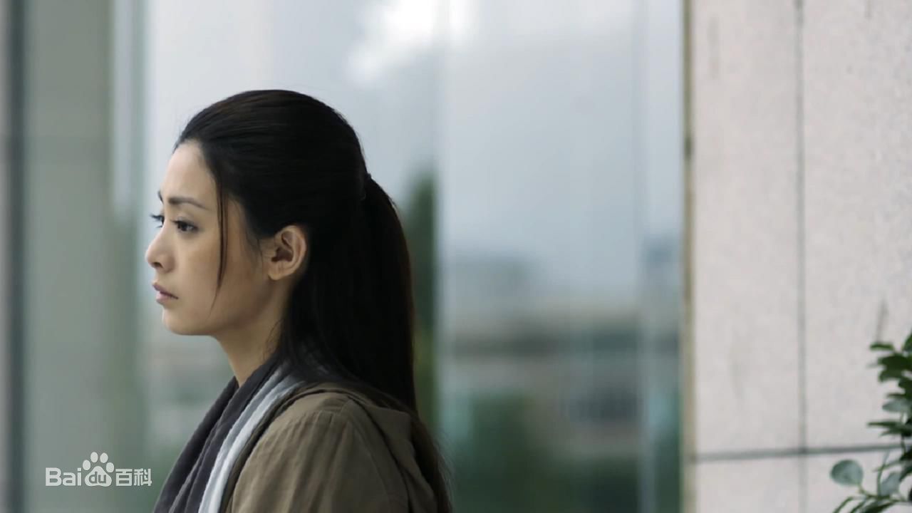 最优质夏如芝精彩图册