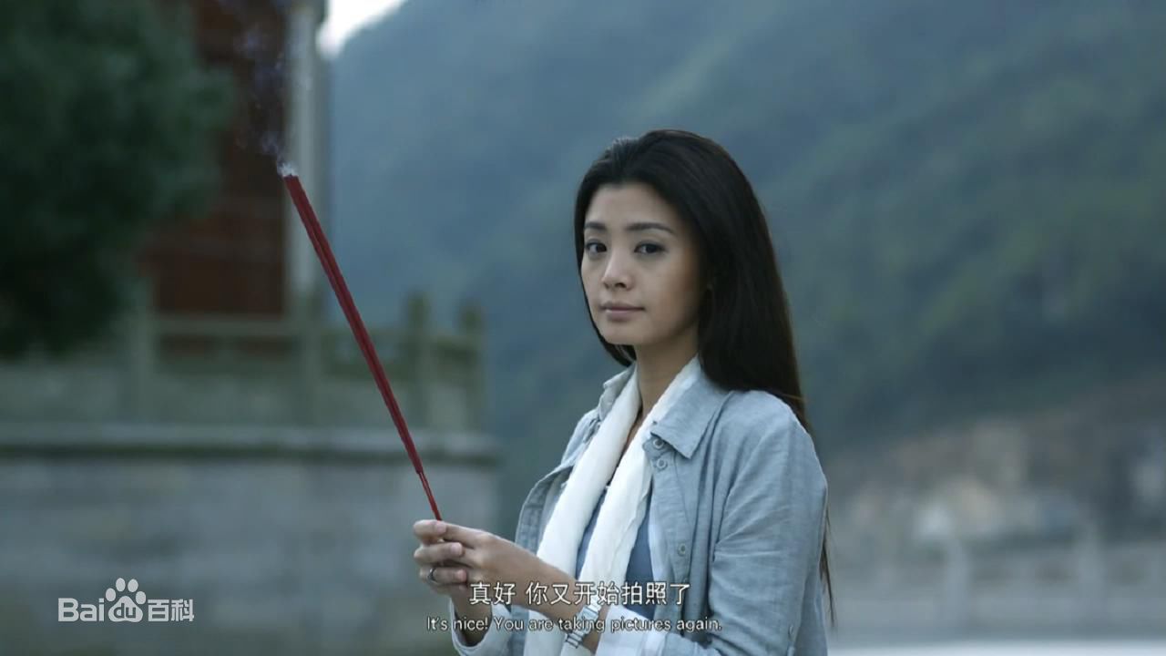 最优质夏如芝精彩图册