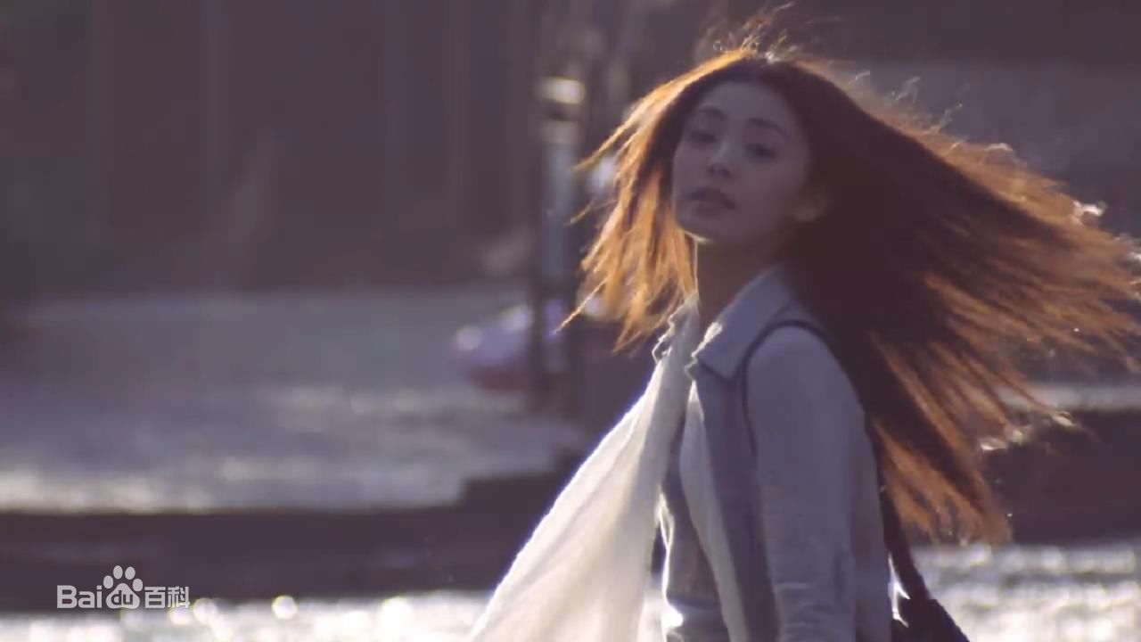 最优质夏如芝精彩图册