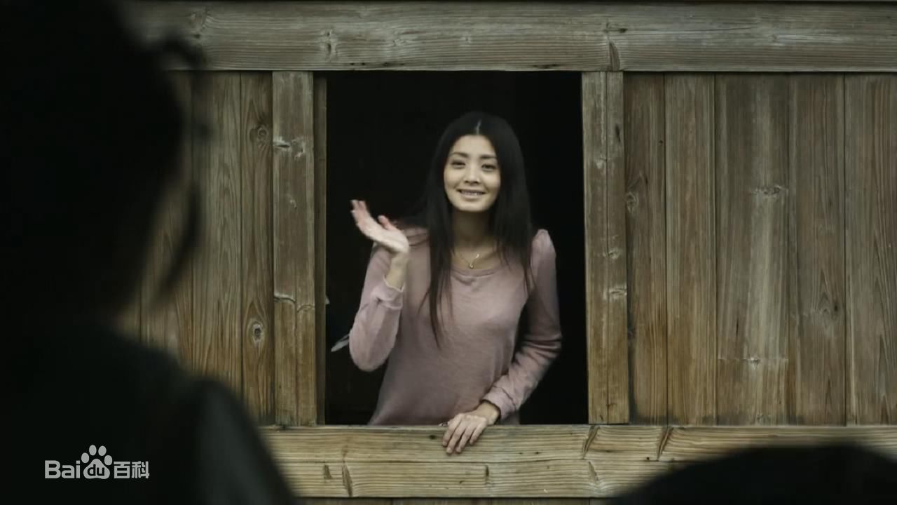 最优质夏如芝精彩图册