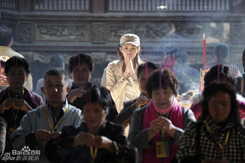 最全夏如芝精彩图册