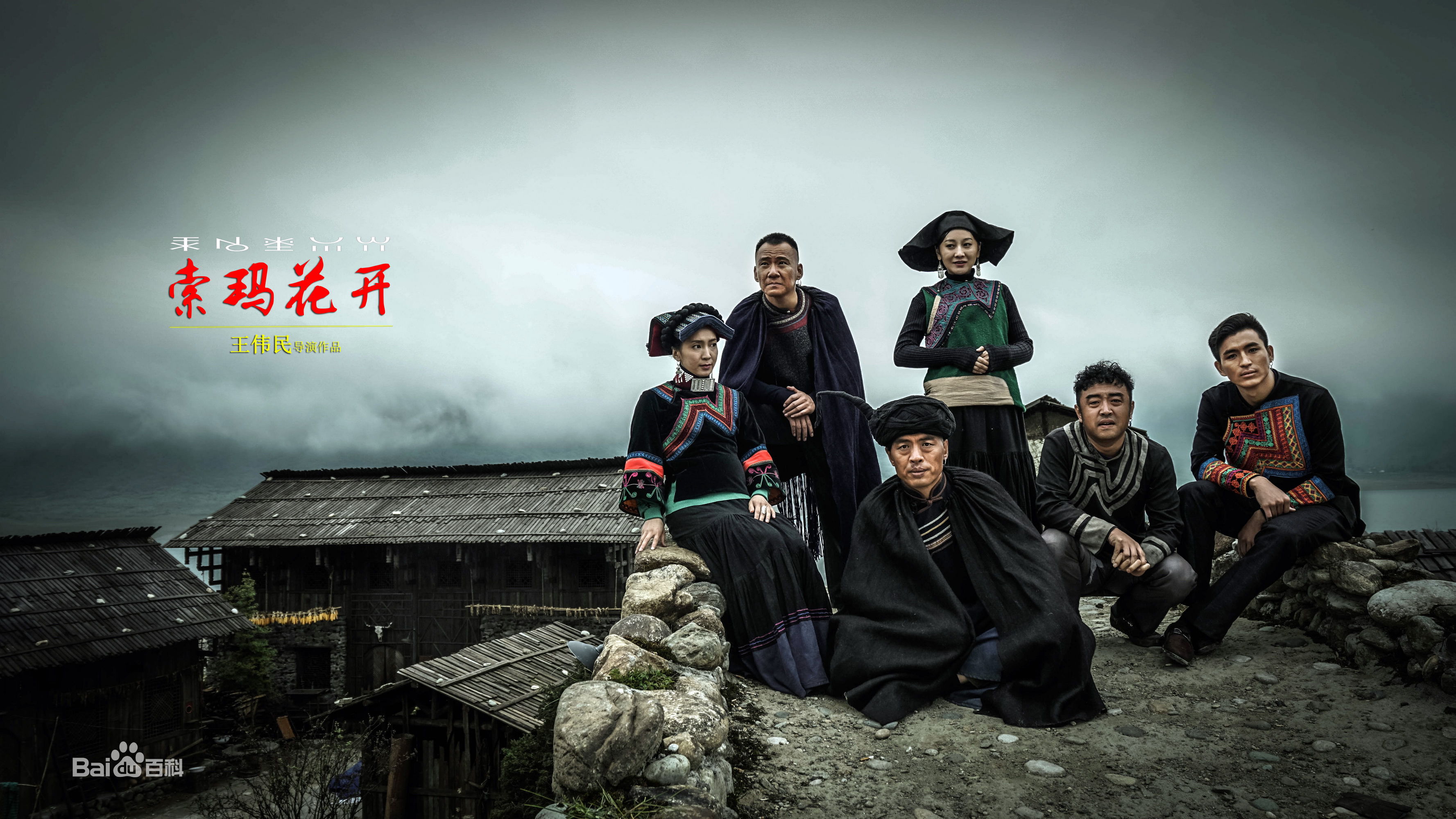 胡小庭索玛花开精选剧照