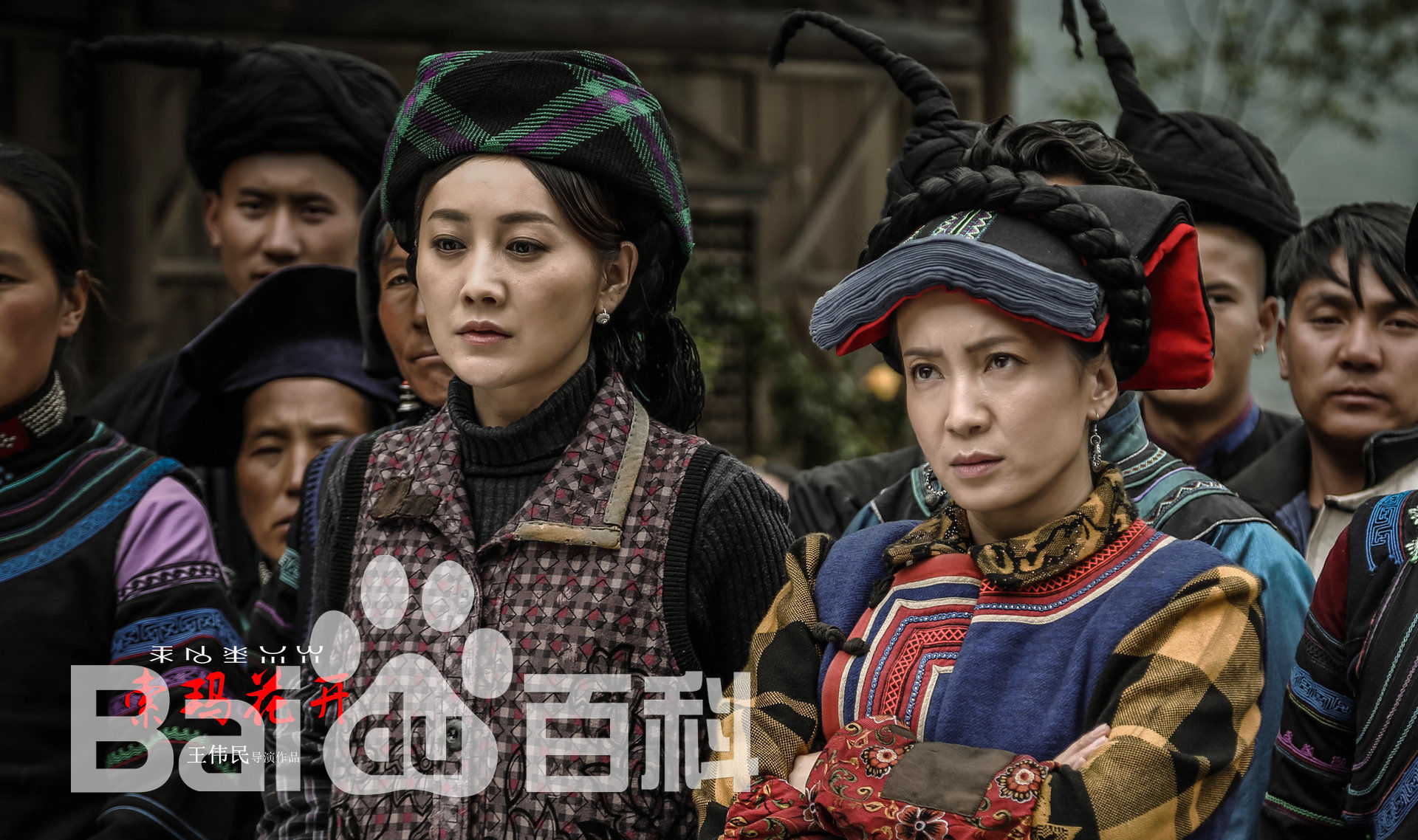 胡小庭索玛花开精选剧照