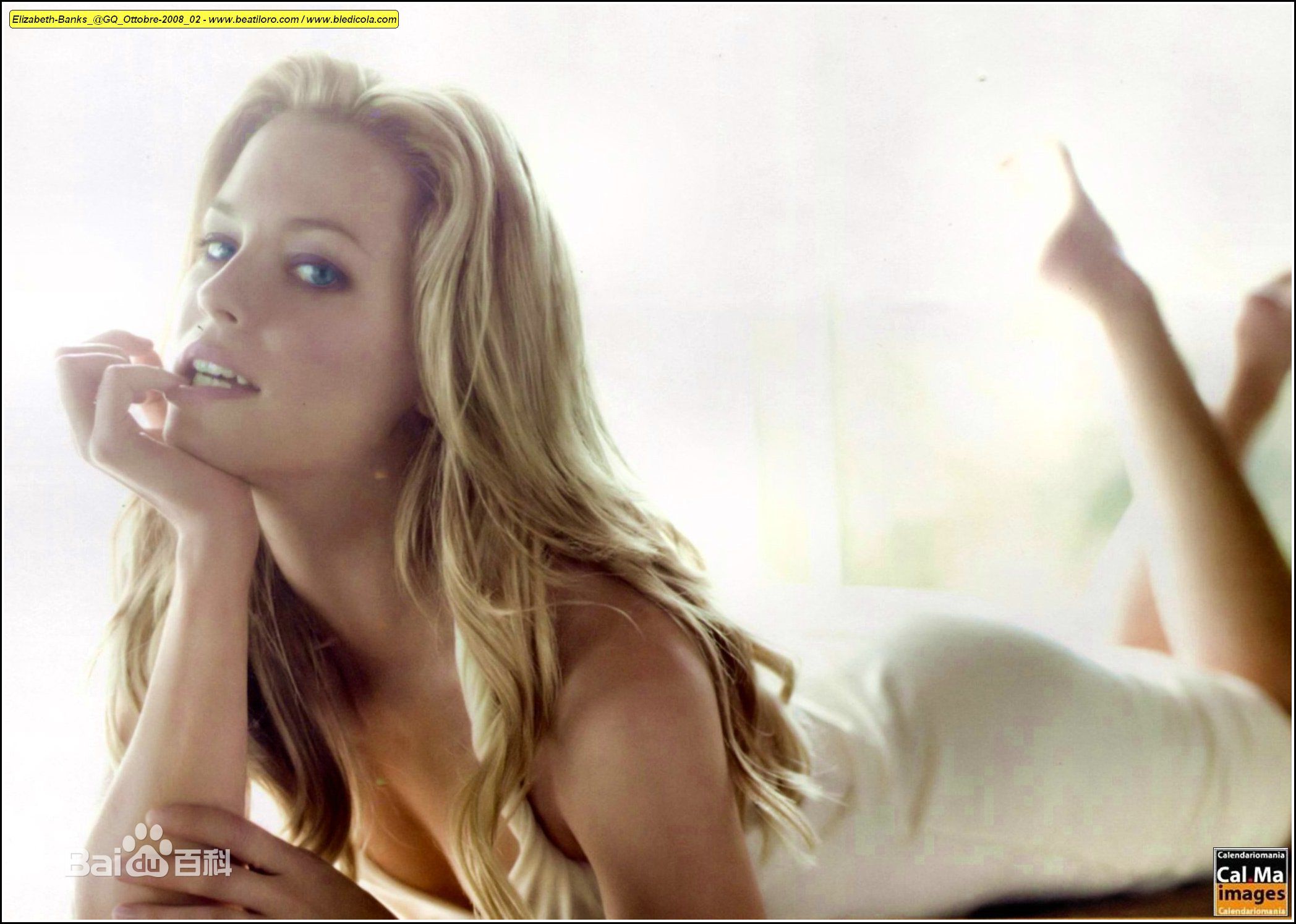 伊丽莎白·班克斯(Elizabeth Banks)精彩图册